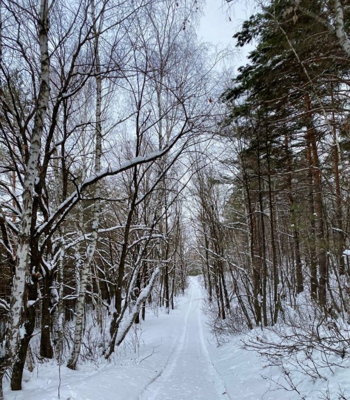 18 гыйнварга һава торышы