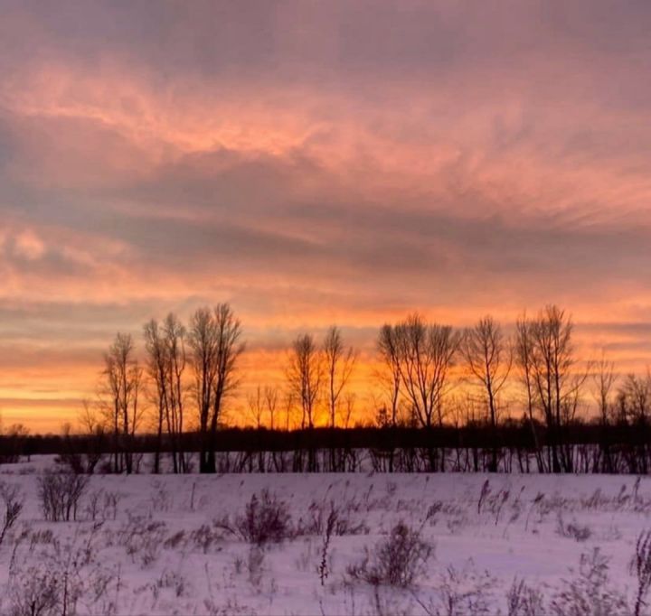 20 гыйнварга һава торышы