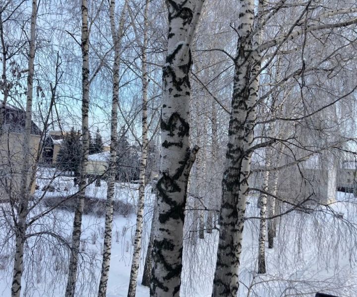 21 гыйнварга һава торышы
