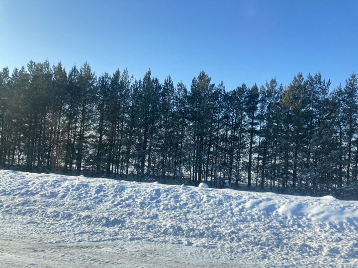 9 гыйнварга һава торышы