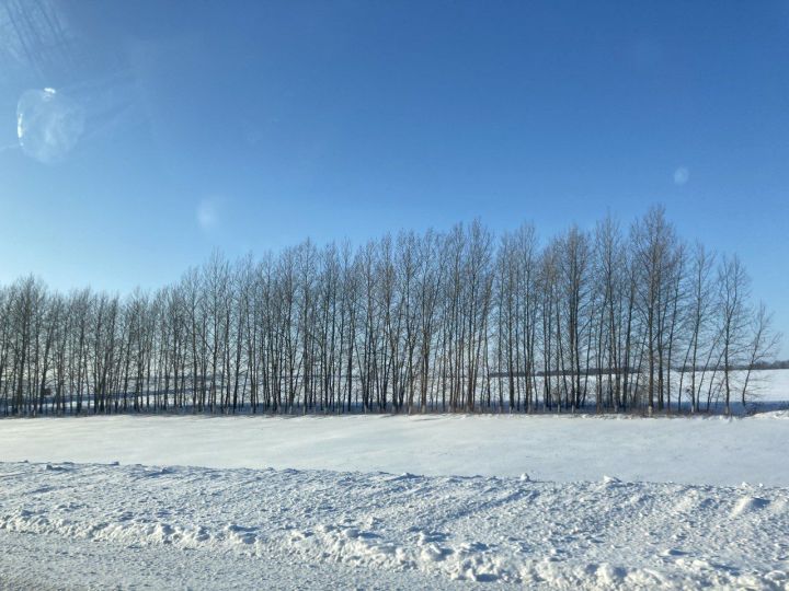 11 декабрьгә һава торышы