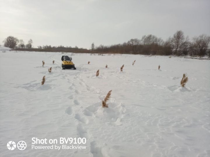 Балык күп булсын!
