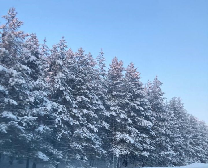 18 февральгә һава торышы