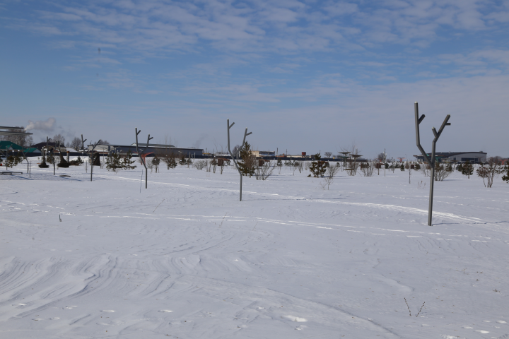 21 февральгә һава торышы