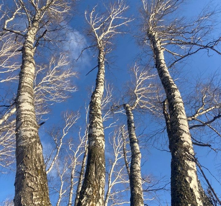 15 апрельгә һава торышы
