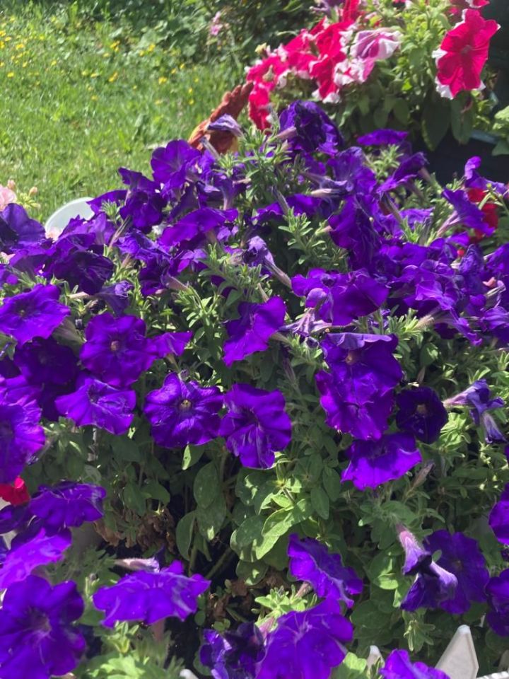 5 август көненә һава торышы