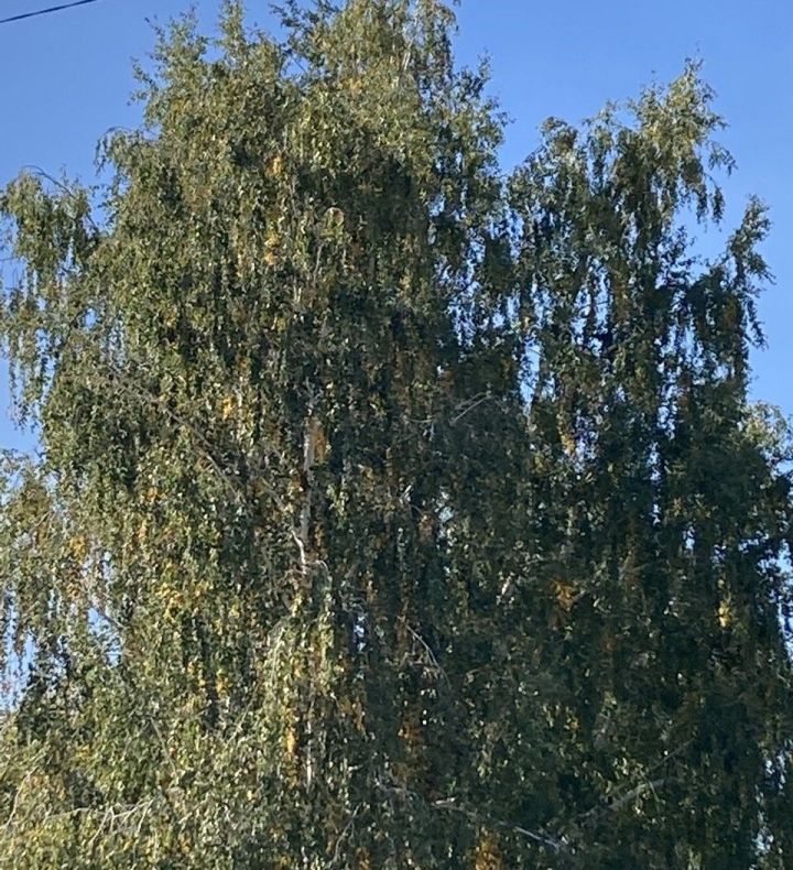 5 сентябрьгә һава торышы