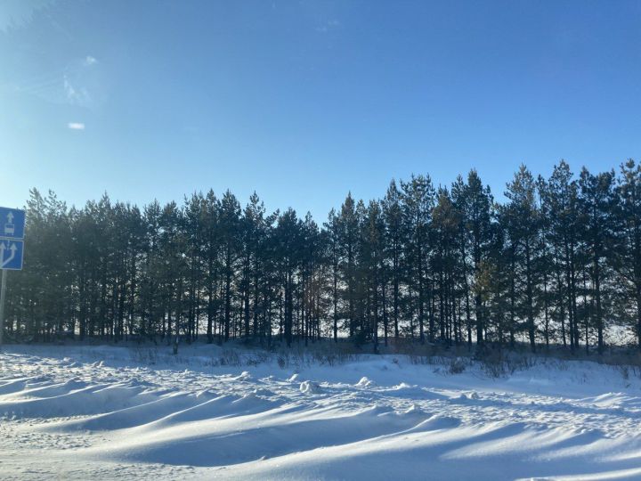 Гыйнвар сынамышлары