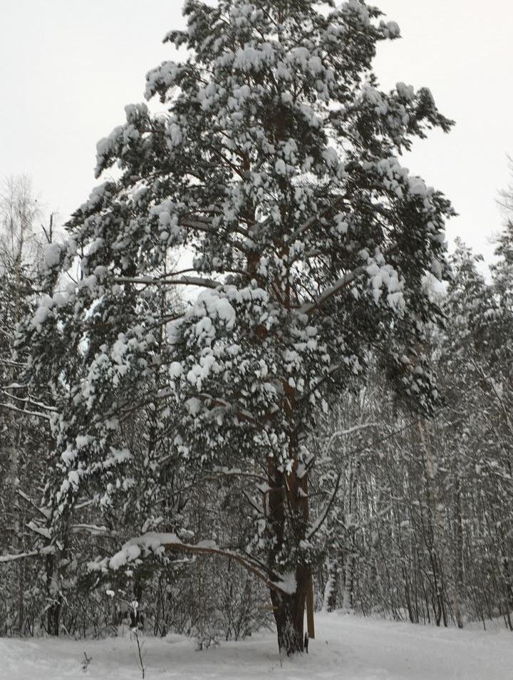 19 гыйнварга һава торышы