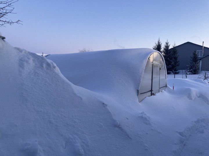 Нормадан арткан