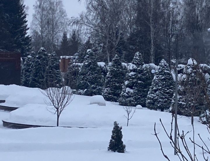 9 февральгә һава торышы