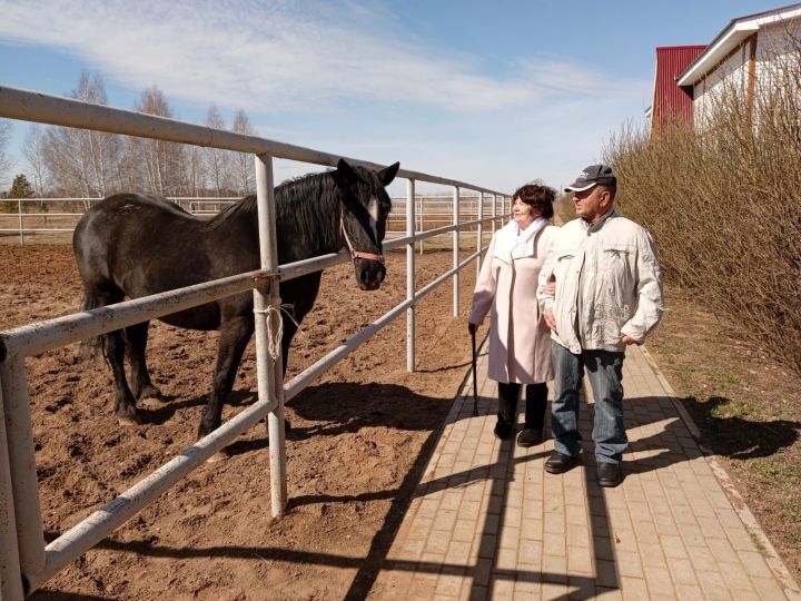Өлкәннәр ат спорты комплексына экскурсиягә бардылар