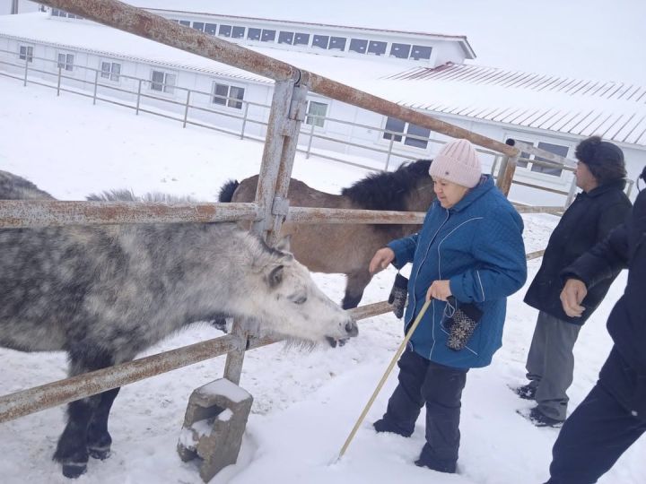 Атлар дәвалый