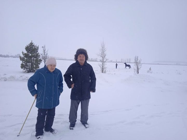 Атлар дәвалый