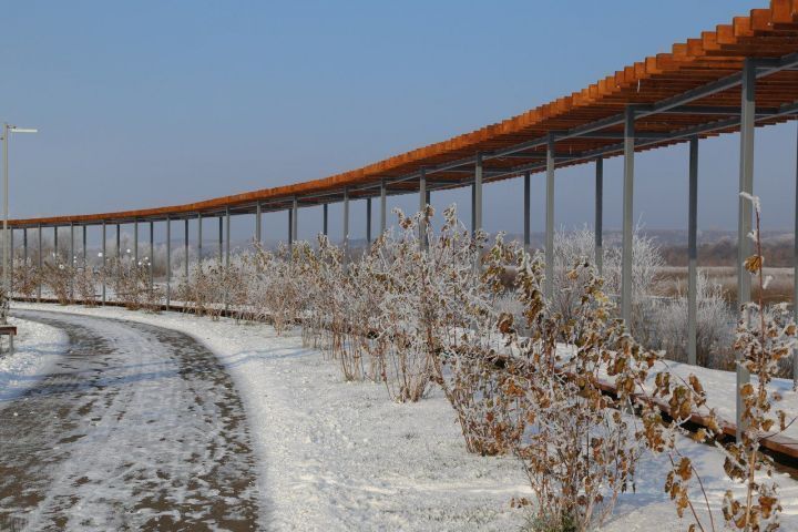 Яңгырлы кыш