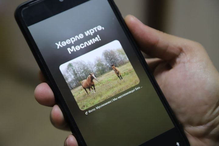 Статуслар ни сөйли?