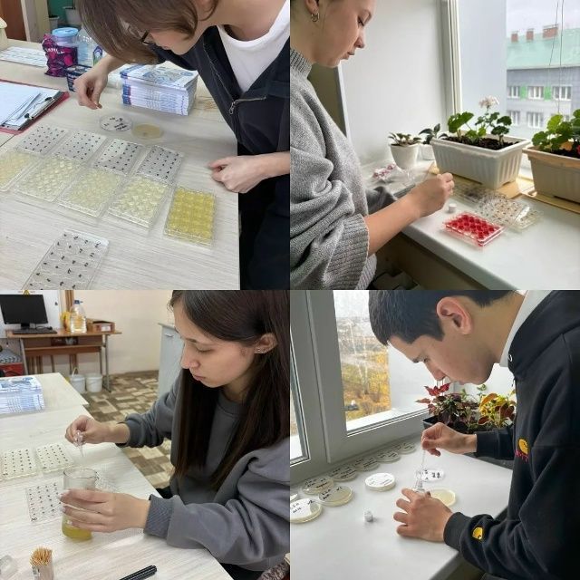 Мәктәп укучылары фәнни тикшеренү белән шөгыльләнә