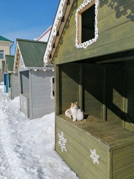 Халык сынамышлары