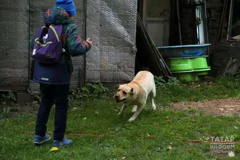 Эт кадерлеме, әллә кешеләрме?