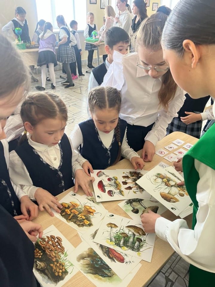 Экология фәннәре көне: үзгәрешләргә илһам бир!