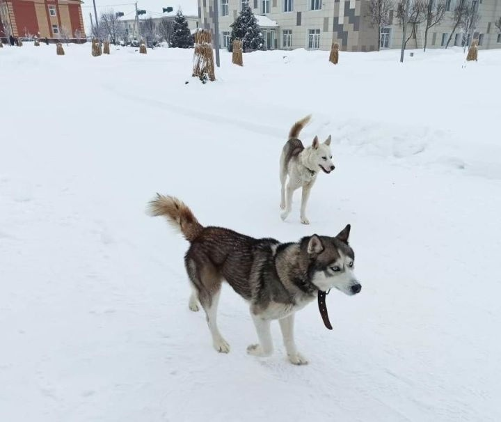 Җаваплылык турында онытмагыз!