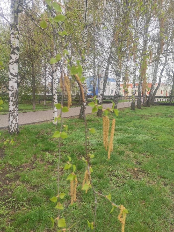 Һава торышы