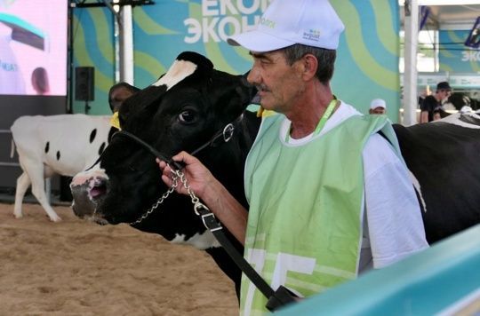 «Август-Мөслим» сыеры Лита-16039 «Агроволга гүзәле» конкурсында абсолют чемпион исемен алды!