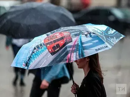 Явым-төшем күләме буенча август рекорд куя