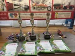 Мөслим районы башлыгы кубогына Бөтенроссия ачык футбол ярышлары төгәлләнде