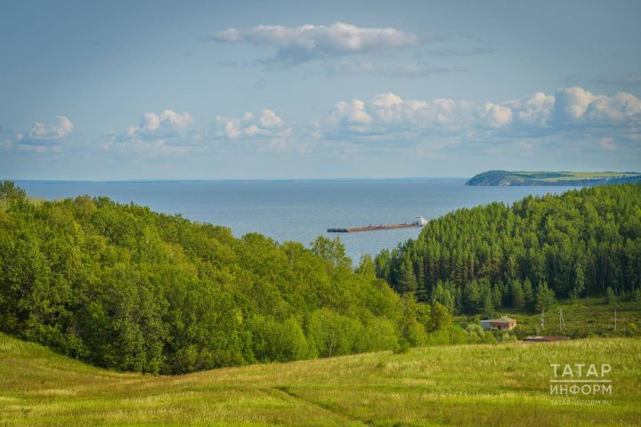 Татарстан урманнарында янгын куркынычы югары булганлыктан кисәтү игълан ителде