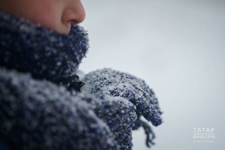 Өшүдән сакланыгыз!