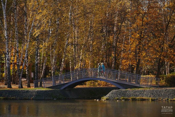 Татарстанда бүген +13 градуска кадәр җылыта, явым-төшем көтелми