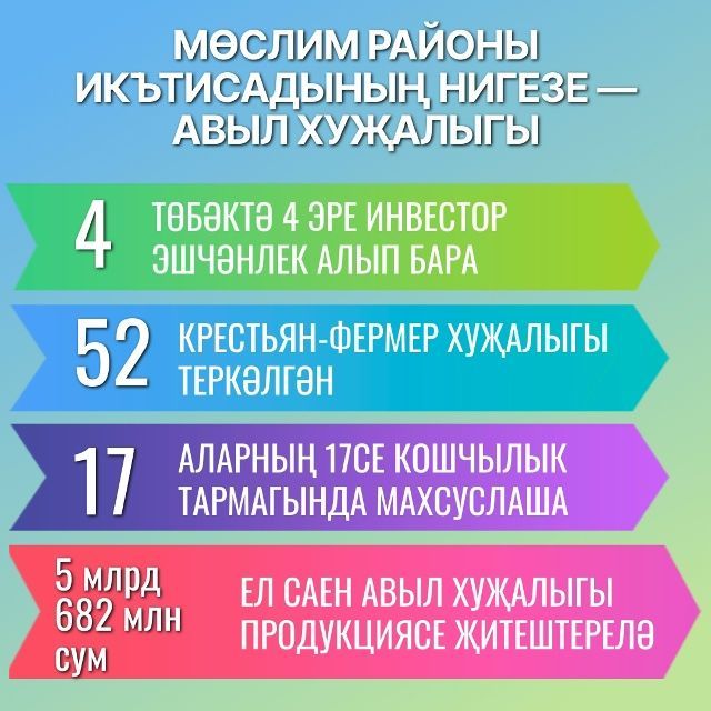 Мөслим районы – аграр район