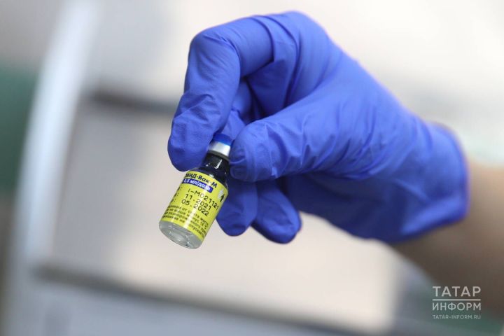 Талпан энцефалитыннан вакцинацияне февральдән үк башларга киңәш ителә