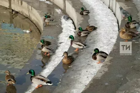 26 мартка һава торышы