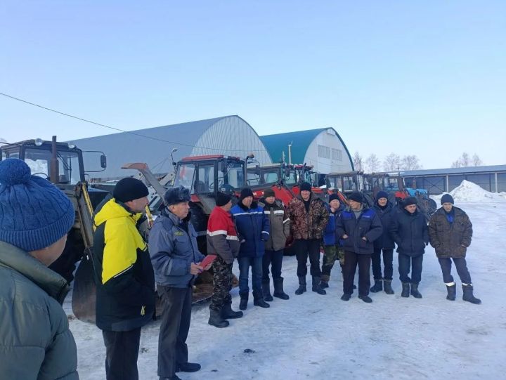 Сабан көтә басулар