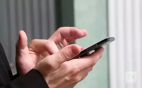 Чит номерларны алмагыз!