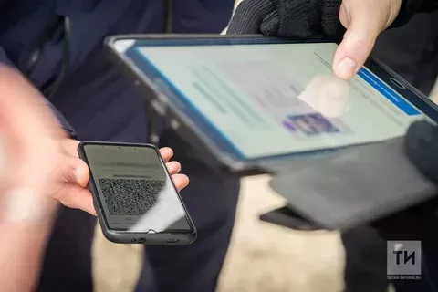 Чистай кешесе мессенджер аша машина йөртү таныклыгы сатып алган өчен хөкем ителәчәк