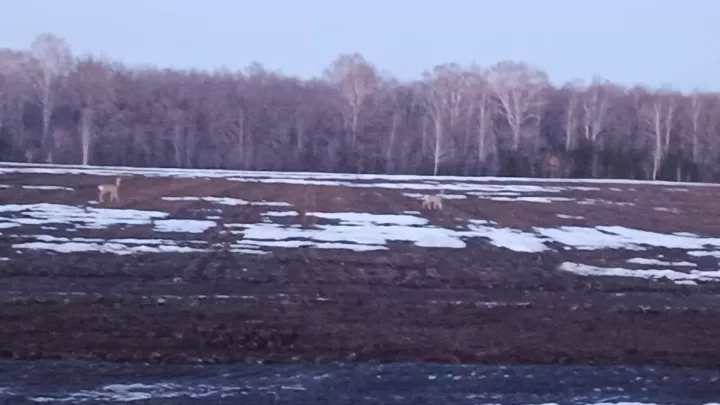 2 апрельгә һава торышы