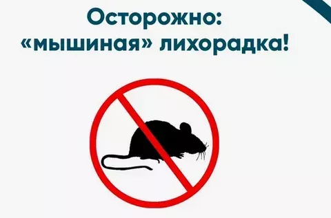 Бөер синдромлы геморрагик бизгәк: симптомнар һәм профилактика