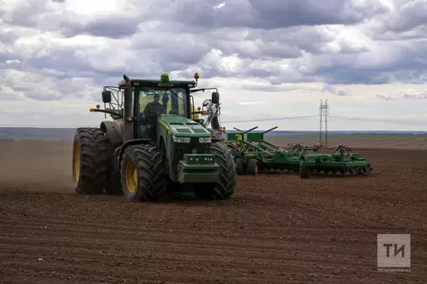 Татарстанда язгы культураларны чәчү башланды