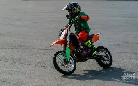 Гомер бер генә!