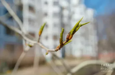 4 апрель көненә һава торышы