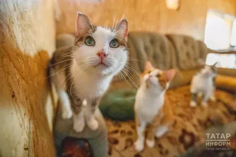 Җаваплылык бар