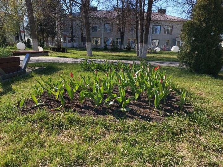 5 май көненә һава торышы