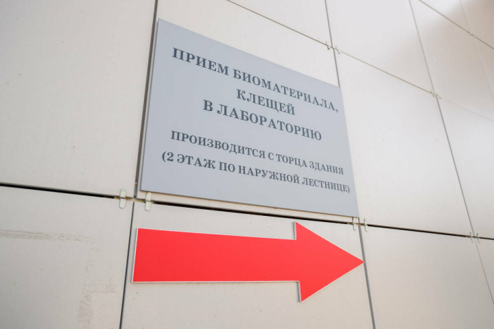 Татарстанда сезон башланганнан бирле беренче тапкыр талпан боррелиозы очраклары ачыкланган