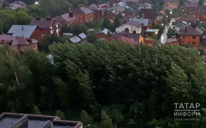 Александр Тыгин: Йортлар янында биек агачлар төтен юлларының эшен бозарга мөмкин