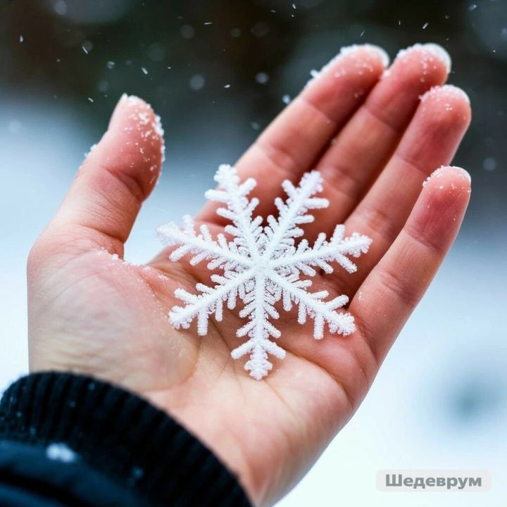 Кар турында кызык фактлар